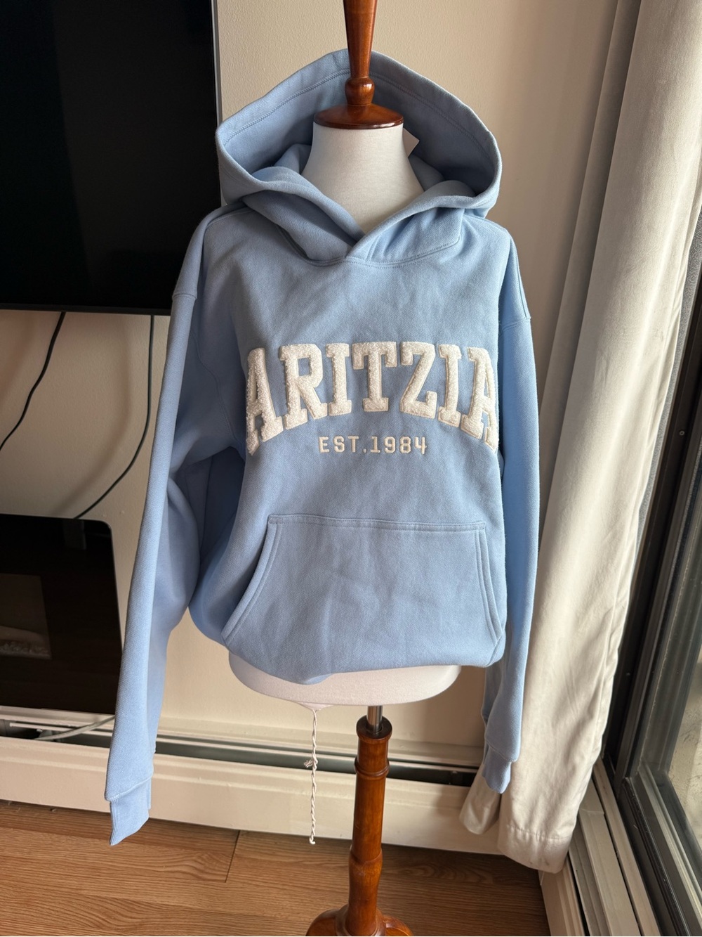 Aritzia Soft Sky Blue Chenille Logo Hoodie